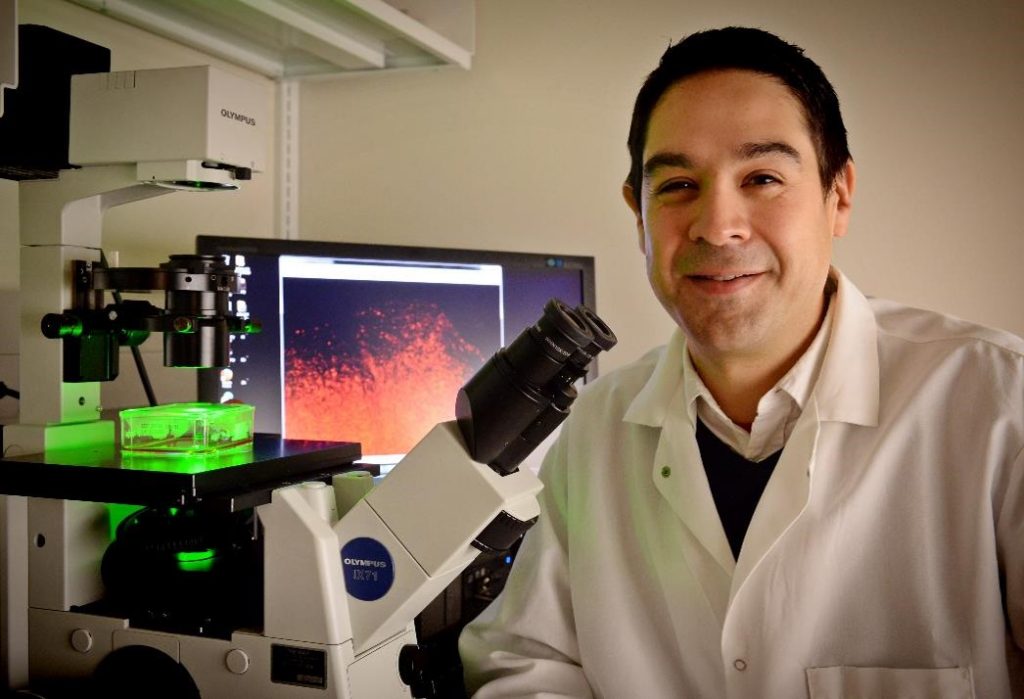Shawn Hingtgen, an assistant professor at the UNC Eshelman School of Pharmacy, founded startup company Falcon Therapeutics, which is working on a therapy that turns a person's own skin cells into stem cells that hunt down the remnants of invasive brain tumors.
