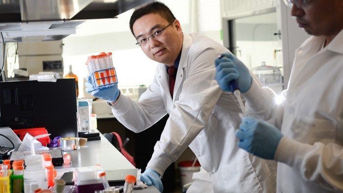 Zhen Gu, professor at the UNC-Chapel Hill/NC State Department of Biomedical Engineering, co-founded Zenomics, a company that is developing smart insulin patches for diabetes patients.