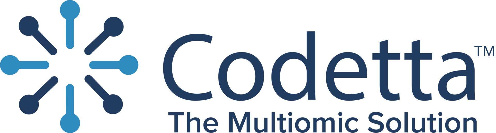 Codetta_Logo_Color